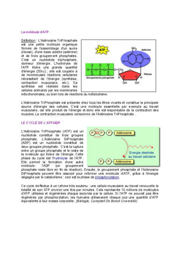 Miniatura del documento Notions-de-bases-sur-l-ATP.pdf