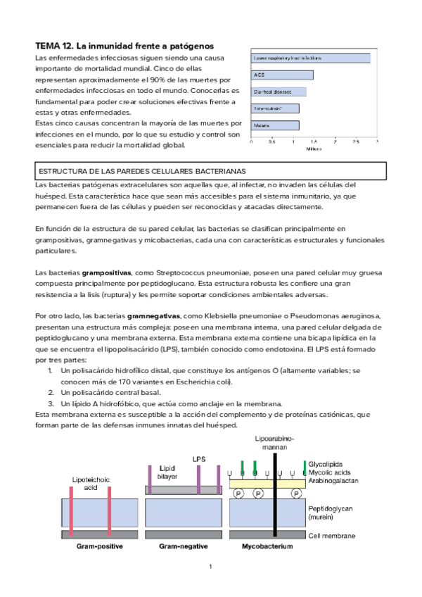 Miniatura del documento TEMA-12La-inmunidad-frente-a-patogenos.pdf