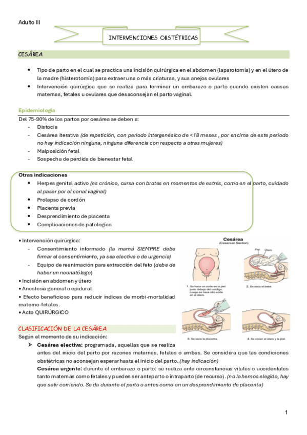 Miniatura del documento T13.-Intervenciones-obstetricas.pdf