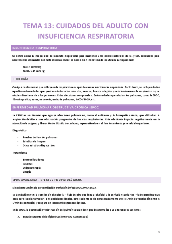 Miniatura del documento Tema-13.pdf