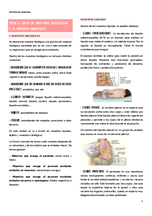 Miniatura del documento TEMA-5.-TIPOS-DE-MUESTRAS-BIOLOGICAS-Y-EL-PROCESO-ANALITICO..pdf