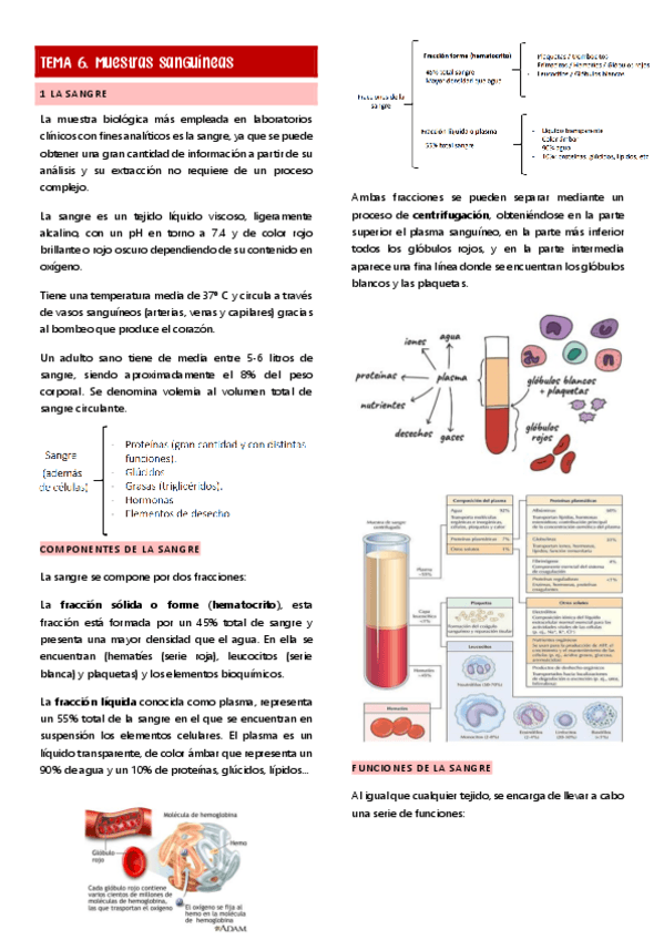 Miniatura del documento tema-6-muestras-sanguineas.pdf