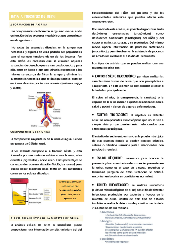 Miniatura del documento tema-7-muestras-de-orina.pdf