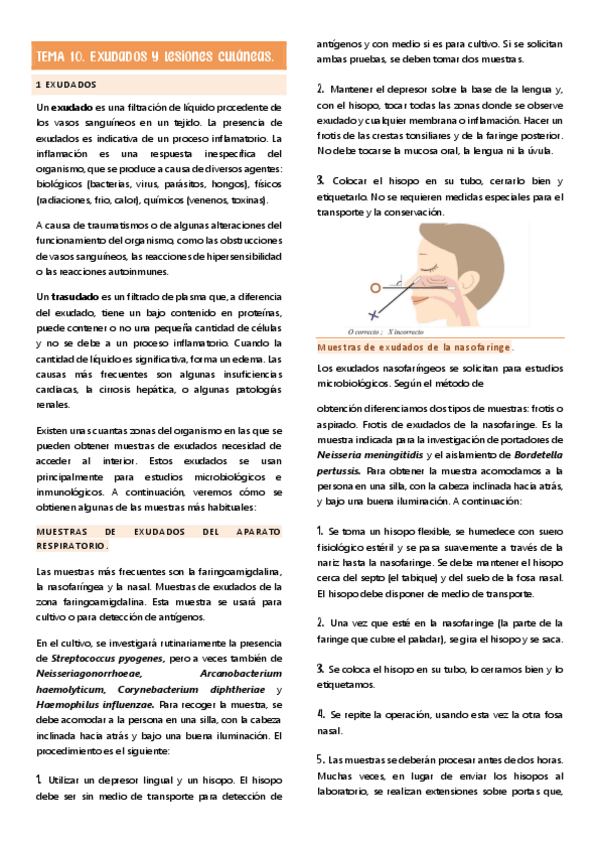 Miniatura del documento TEMA-10-exudados-y-lesiones-cutaneas.pdf