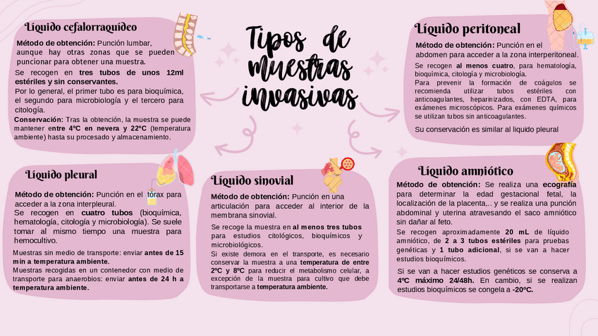 Miniatura del documento Mapa-Mental-tipos-de-muestras-invasivas-1.pdf