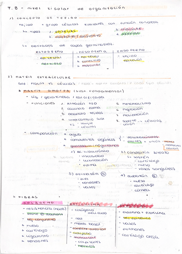 Miniatura del documento Tejido-tisular-I-y-II.pdf