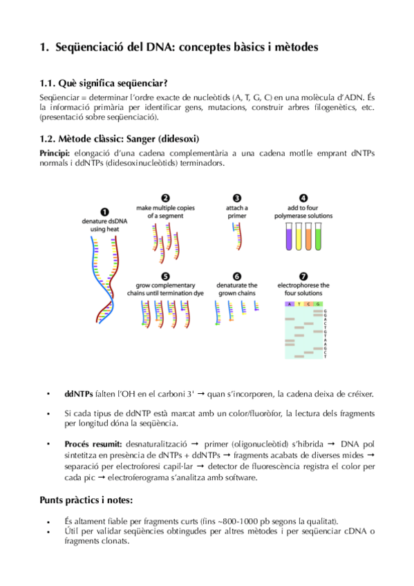 Miniatura del documento SEMINARIS PARCIAL.pdf