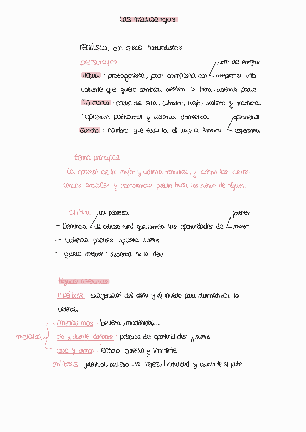 Miniatura del documento las-medias-rojas-emilia-pardo-bazan.pdf