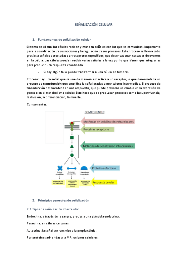 Miniatura del documento Tema-7Senalizacion-celular.pdf