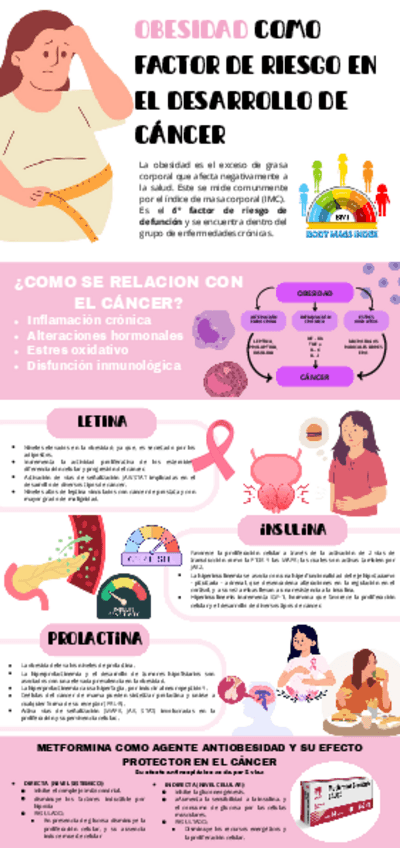 Miniatura del documento OBESIDAD-COMO-FACTOR-DE-RIESGO-EN-EL-DESARROLLO-DE-CANCER.pdf