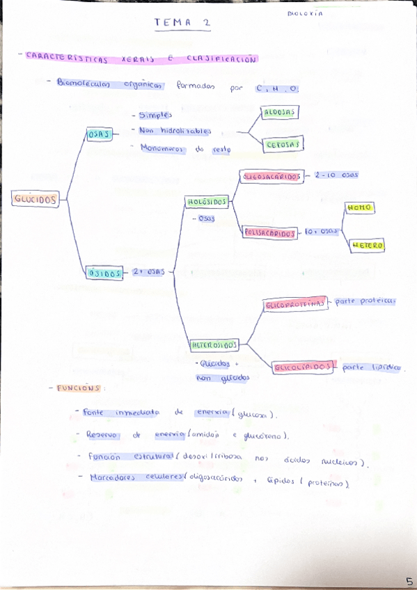 Miniatura del documento GLICIDOS.pdf