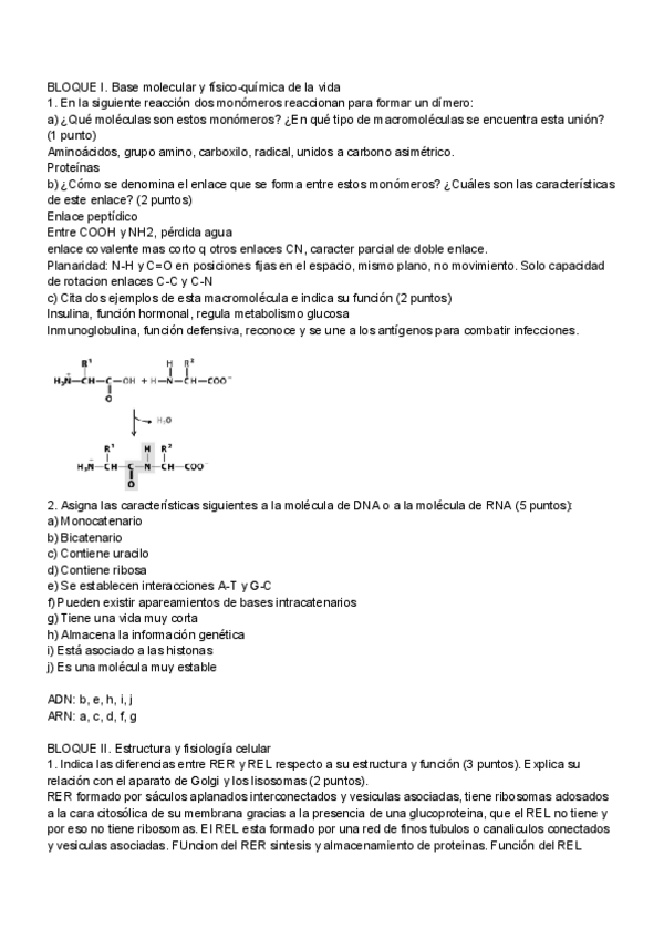 Miniatura del documento BIOLOGIA-PAU-JUNIO-2017-CORREGIDO.pdf