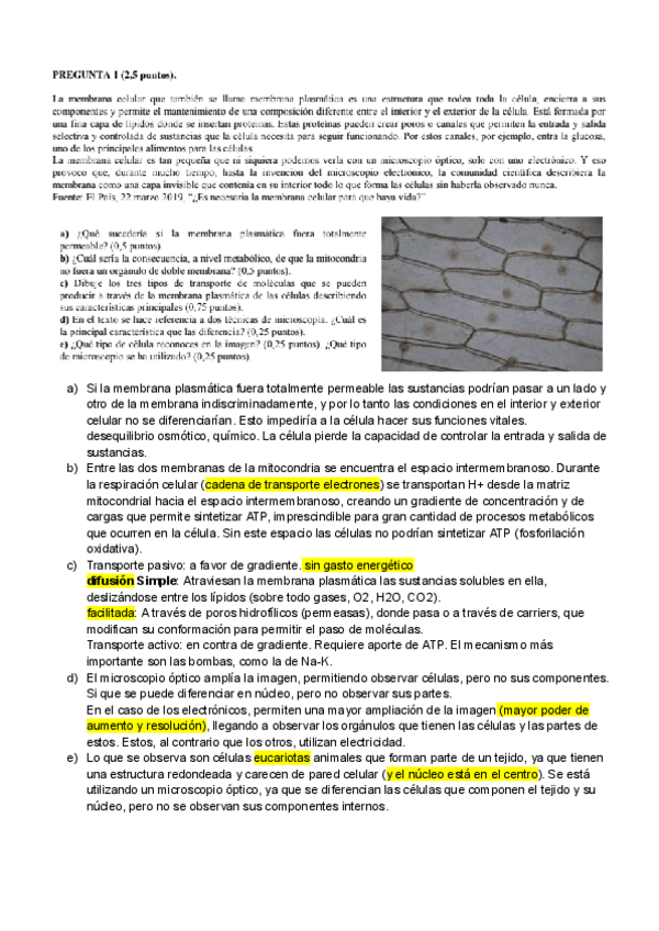 Miniatura del documento BIOLOGIA-PAU-MODELO-2025-CORREGIDO.pdf