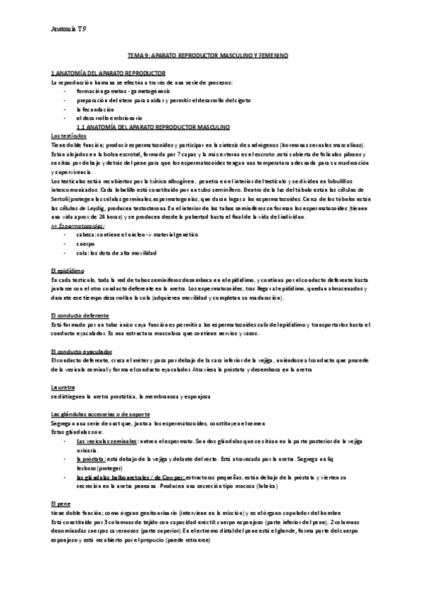 Miniatura del documento T.9-aparato-reproductor-masculino-y-femenino.pdf