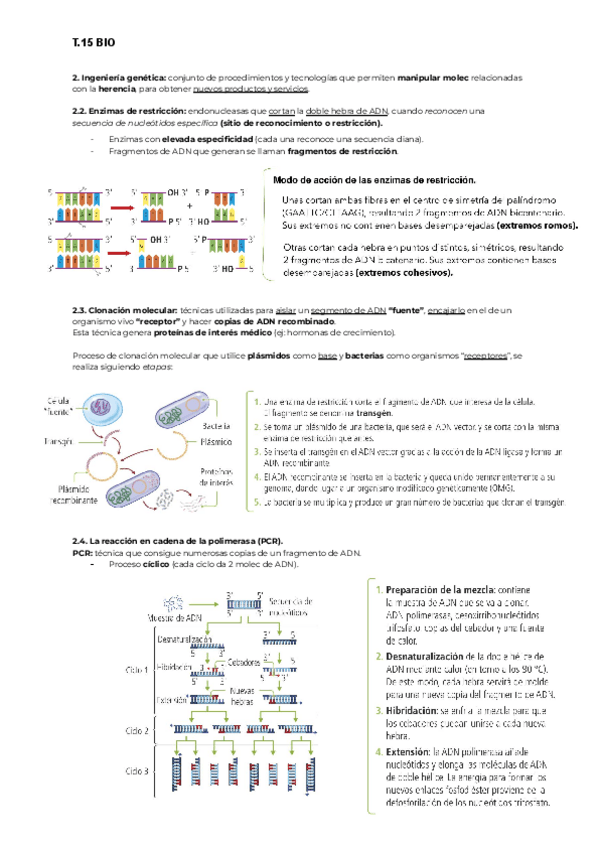 Miniatura del documento TEMA-15-BIO-genetica.pdf