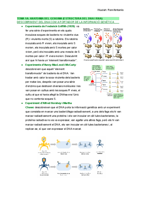 Miniatura del documento Resum-tot-primer-parcial-BMiG.pdf