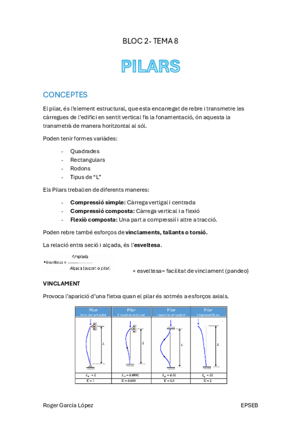 Miniatura del documento TEMA-8-PILARS.pdf