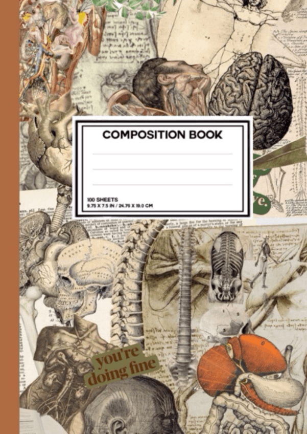 Miniatura del documento Anatomia-apunes-1.pdf