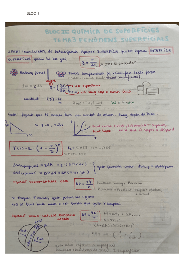 Miniatura del documento BLOC-II-brutal.pdf
