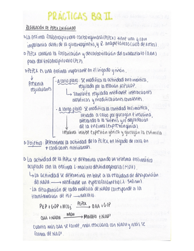 Miniatura del documento Resumen-practicas-Bioquimica-ll.pdf