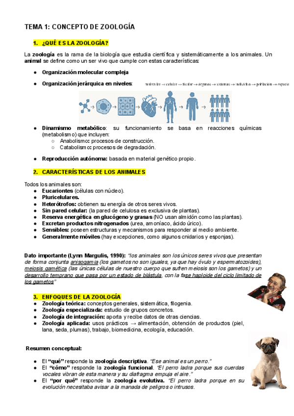 Miniatura del documento TEMA-1-ZOO-Concepto-de-la-zoologia.pdf