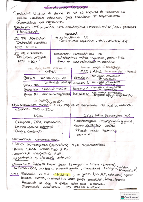 Miniatura del documento Resumen-Parte-Desarrollo.pdf