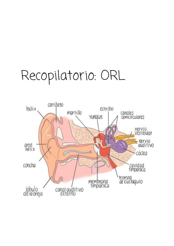 Miniatura del documento Copy-of-Recopilatorio-Examenes-ORL.pdf