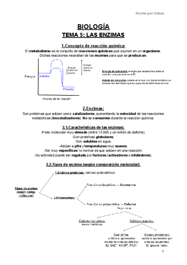 Miniatura del documento Biologia-Tema-5-Las-enzimas.pdf