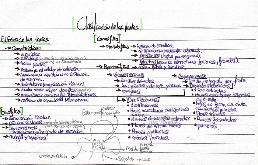 Miniatura del documento clasificacion-de-los-seres-vivos.pdf