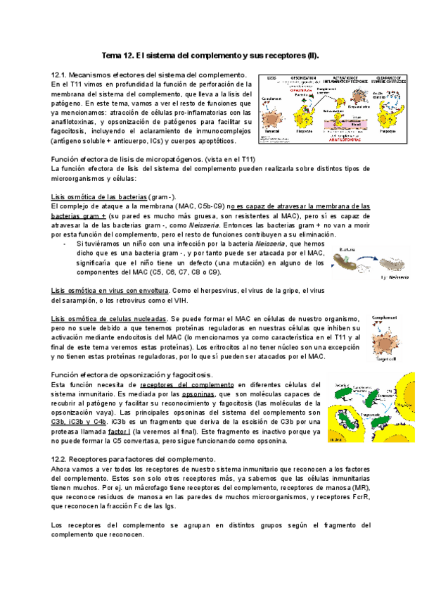 Miniatura del documento Tema-12-Inmuno.pdf