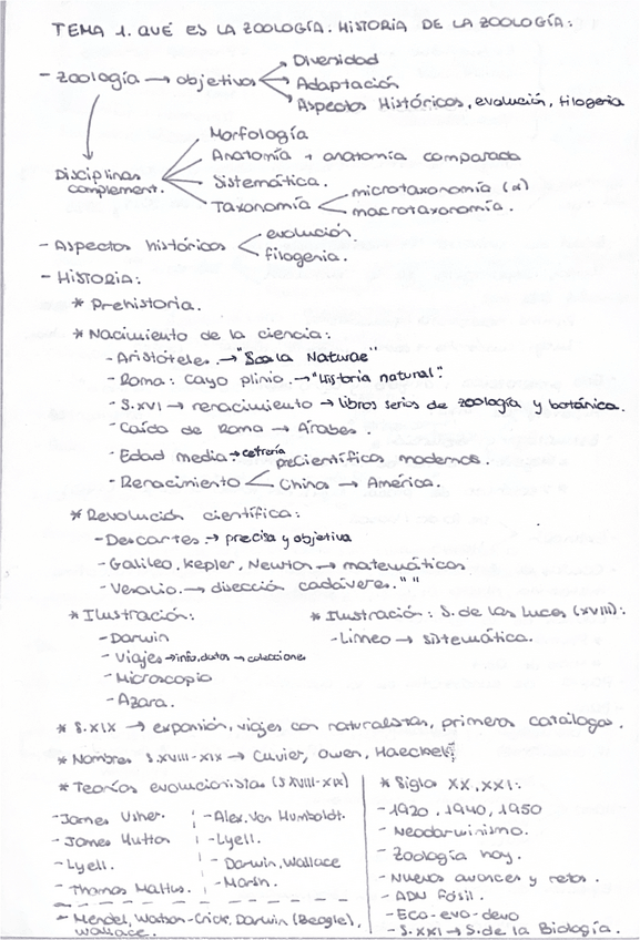 Miniatura del documento Esquemas-vertebrados.pdf