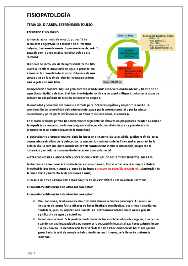 Miniatura del documento TEMA-20-DIARREA.-ESTRENIMIENTO.ILEO.pdf