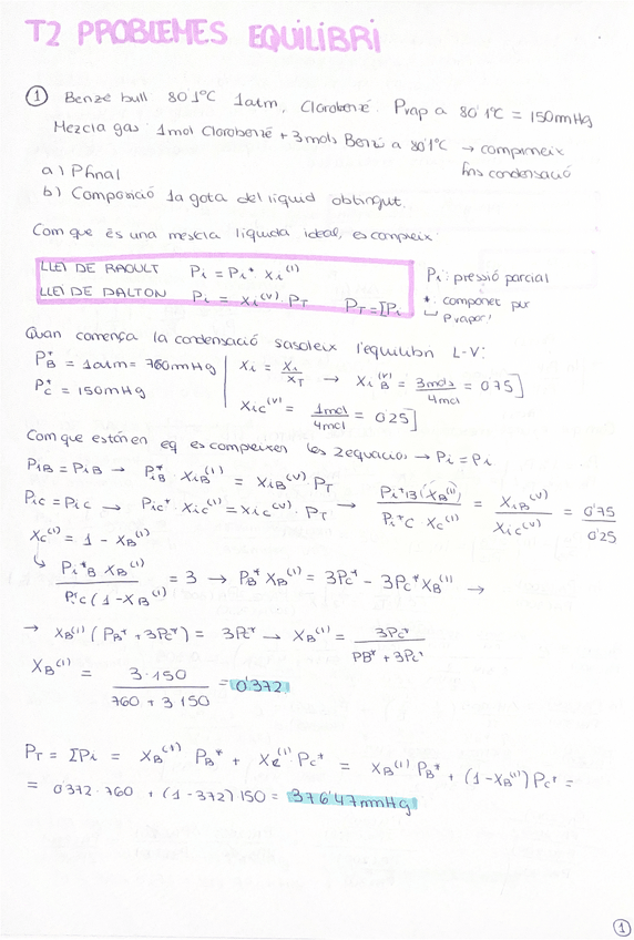 Miniatura del documento Problemes-T2-Equilibri.pdf