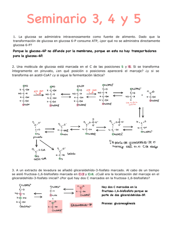 Miniatura del documento S3,4,5_MetabolsimoGlúcidos (ej.1-14)(25-26).pdf.pdf.pdf.pdf