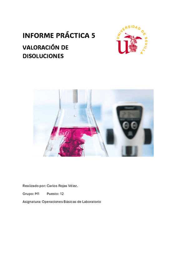 Miniatura del documento INFORME-PRATICA-5.pdf