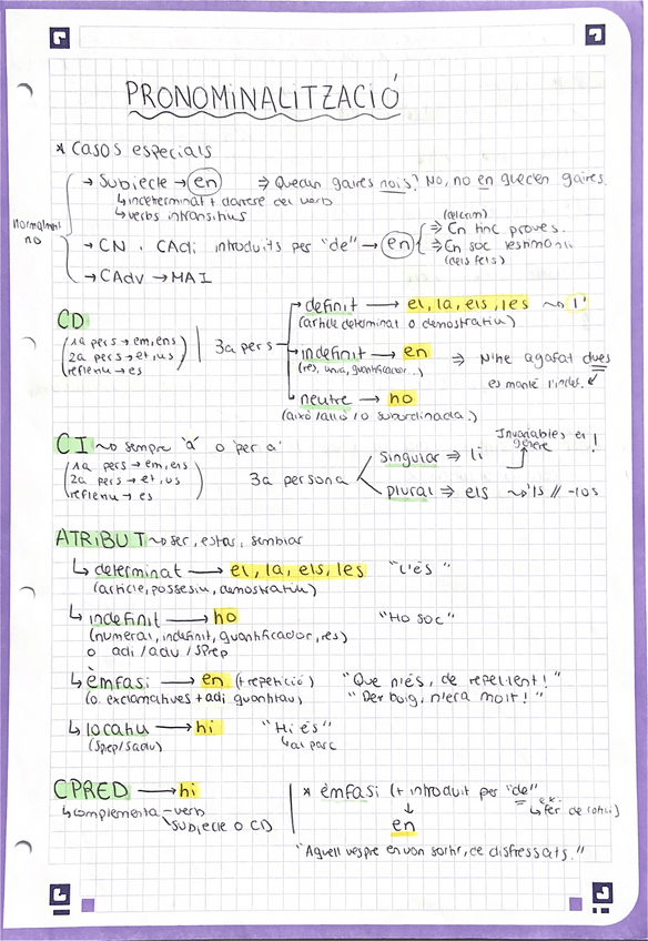 Miniatura del documento Pronominalitzacio.pdf