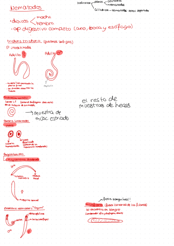 Miniatura del documento practicas-parasitologia.pdf