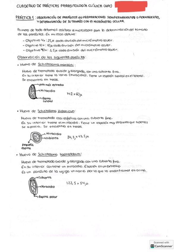 Miniatura del documento cuaderno-de-practicas-MPC-parasitologia.pdf