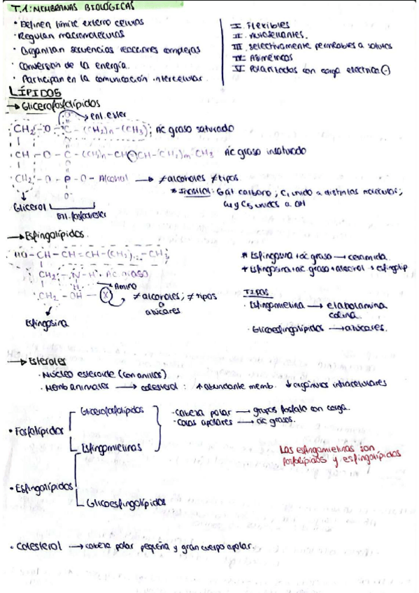 Miniatura del documento resumenes-bioq-primer-parcial.pdf