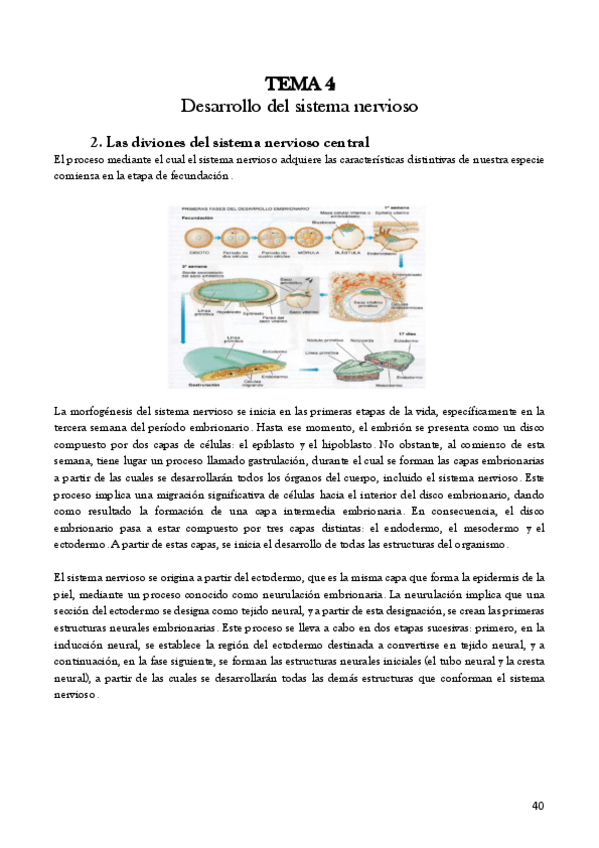 Miniatura del documento Fundamentos-de-Psicobiologia.-Tema-4.pdf