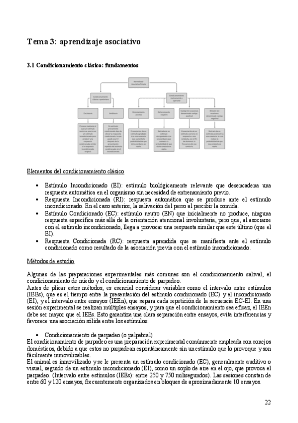 Miniatura del documento Aprendizaje-conducta-y-cognicion.pdf