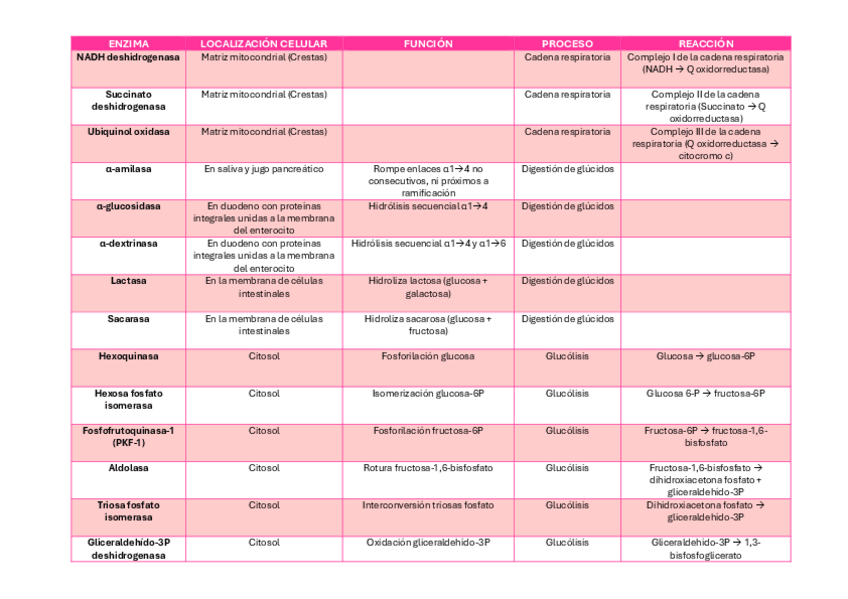 Miniatura del documento Enzimas-1oparcial.pdf