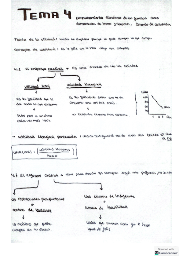 Miniatura del documento Tema-4-economia.pdf