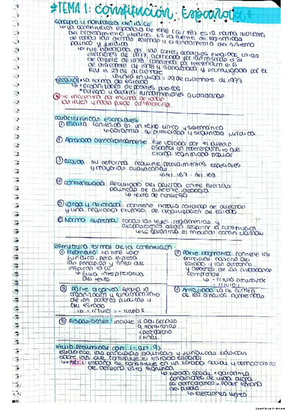Miniatura del documento APUNTES-TEMA-1.pdf