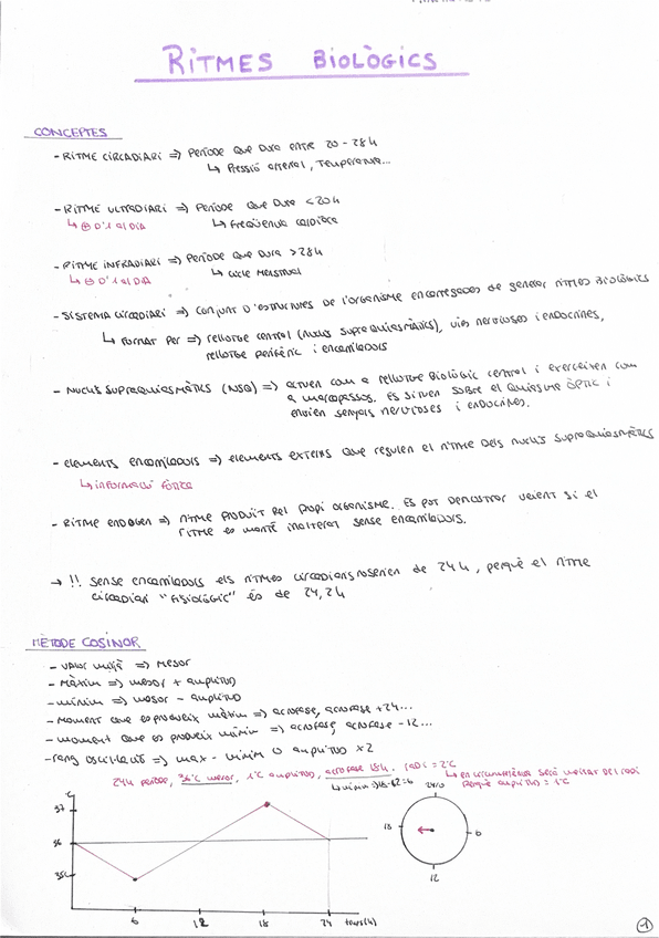 Miniatura del documento Resum-practiques.pdf