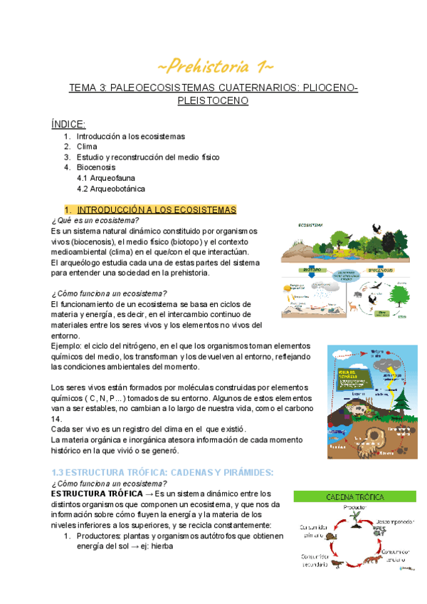 Miniatura del documento PREHISTORIA-I-TEMA-3.pdf