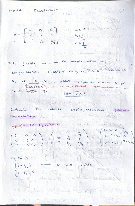 Miniatura del documento ejercicios-resuleto-proyecciones-matrices....pdf