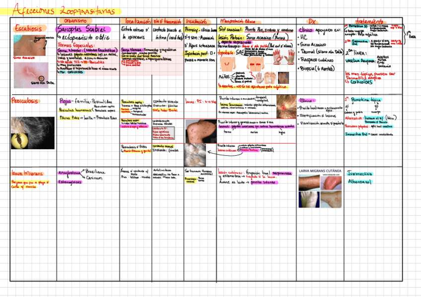 Miniatura del documento Afecciones-Zooparasitarias.pdf