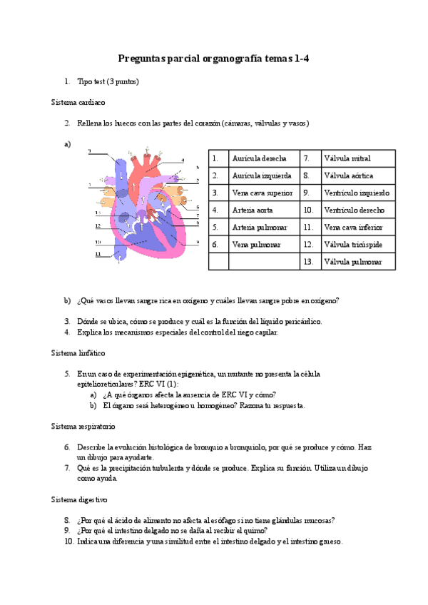 Miniatura del documento Preguntas-parcial-organografia-temas-1-4.pdf