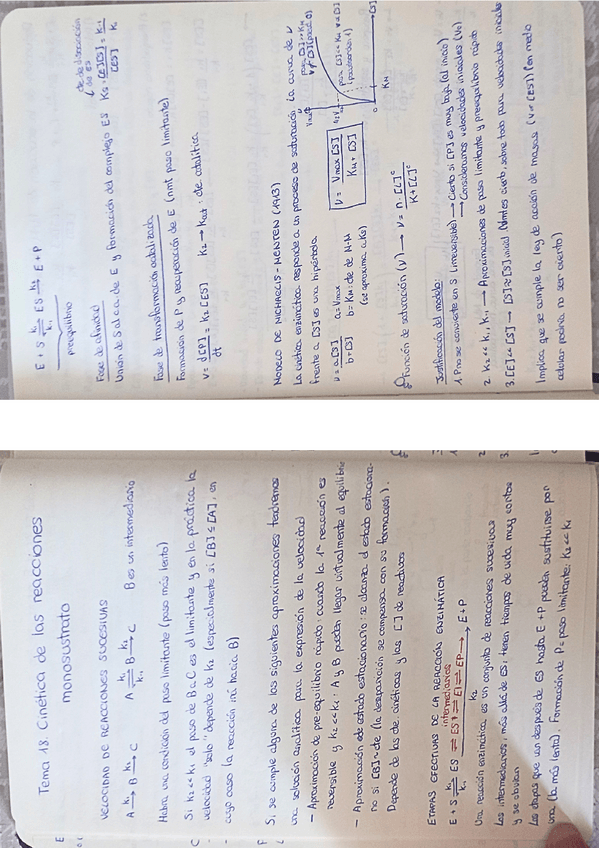 Miniatura del documento EME-III.-Temas-18-19.pdf